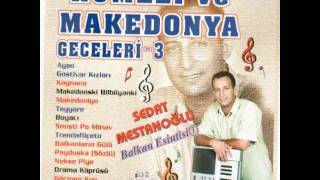 Sedat Mestanoğlu - Göçmen Kızı Resimi