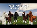 Meet All 5 Of My Horses | Moving Barns | ( New Roleplay ) | Minecraft Equestrian Roleplay