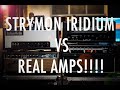 STRYMON IRIDIUM VS BOUTIQUE AMPS