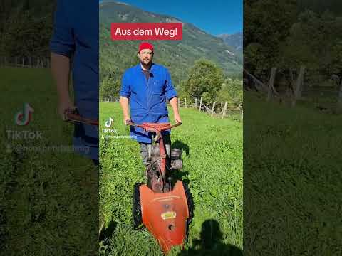 Aus dem Weg