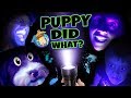 PET LIGHT DETECTOR?? Puppy in Trouble! (FUNnel V Fam Vlog)