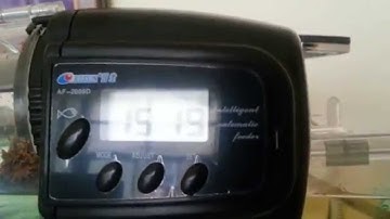 Resun AF 2009D auto fish feeder and digital thermometer