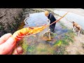 We found a low tide pool full of JUICY PRAWNS! (Out with the net!!!)