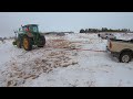Getting Stuck, Working Cattle, Farming