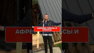 🔥 ПОЧЕМУ АФРЕЙМ ТОЛЬКО НА 5 МЕСТЕ В 2025? 🏡 ЦЕНА УДИВИТ! #строительство #дача #bzuni