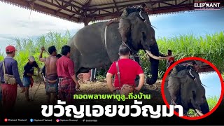 EP2❗️พี่เล็กพูด…อาการพลายพาตูลูหลังลงรถ❓ฉีดน้ำคลายเครียด❗️