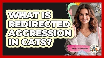 What Is Redirected Aggression In Cats?