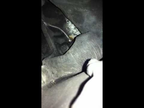 Solsuite 98 3 5 Serial Cracks Solsuite 98 3 5 Serial Cracks