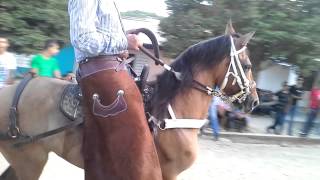 Carreras de caballos en Pileta, Corozal.