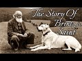 The story of brintz and saint appalachian story documentary stories storyteller