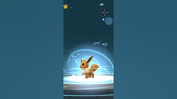Pokemon Evolution Eevee Evolve Umbreon after walking 10 KM in evolved during the night Pokemon Go