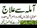 Amla Ke Fayde | amla benefits for hair growth | indian gooseberry