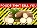 The deadliest foods on earth 12 exotic foods that can end your life
