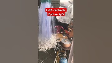 Tiệm lưới tư vinh chuyên bán lưới cá chạch 2p3 và 2p5 ,ace ưng ý alo 0707356456