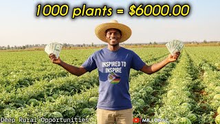 You Won’t Believe This! First Watermelon Plot in Deep Rural Zimbabwe 🍉