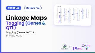 Linkage Maps · Tagging (Genes & QTL) | DataViz Pro Tutorial