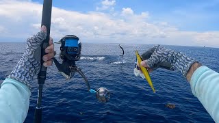 This Billfish Jumps in The Boat!! All Day Offshore Summer fishing