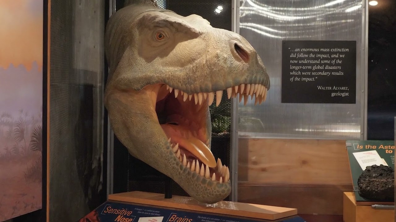 Un coup d'œil au T. rex avec le paléontologue Jordan Mallon