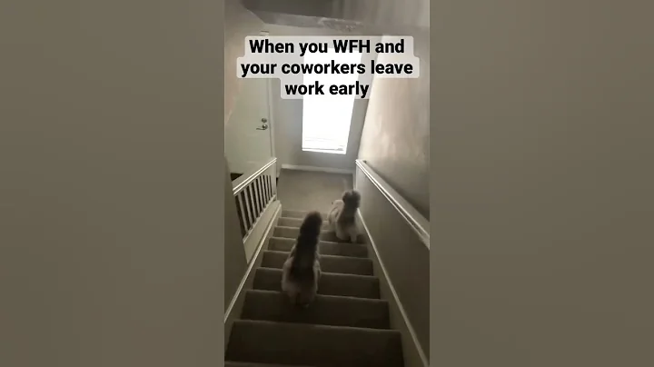 When you WFH and your coworkers leave work early #shorts #wfh #productivitytip