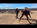 Part 2 , Tindell day 1 groundwork