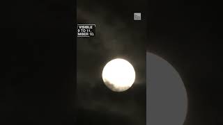 Harvest Moon is rising - here’s when you can see it
