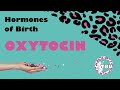 Oxytocin (The Hormones of Birth series)