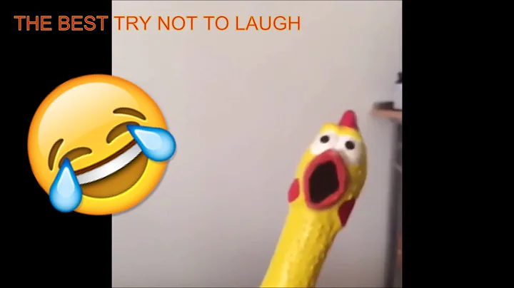 (IMPOSSIBLE) TRY NOT TO LAUGH CHALLENGE FUNNY!