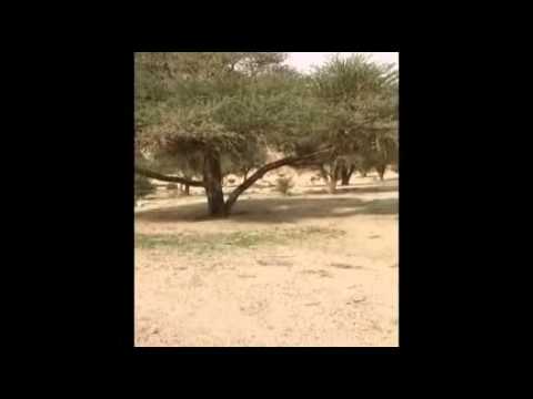 ٣١ ديسمبر، ٢٠١٥
