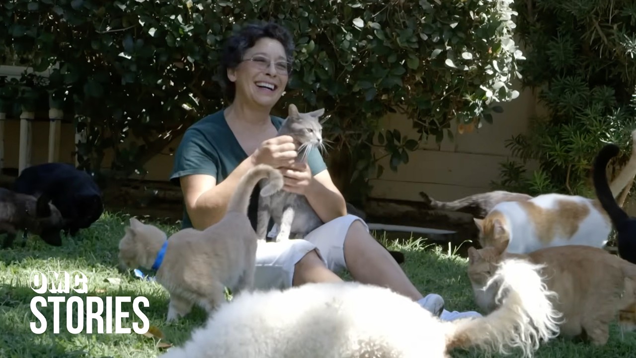 The Woman Who Can't Stop Buying Cats