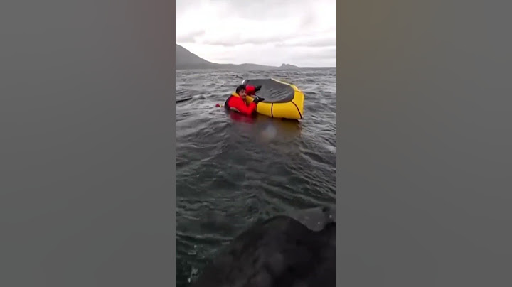 Humpback whale swallows kayaker off Chile before releasing him