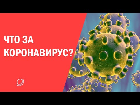 Что такое коронавирус и чем он отличается от других вирусов (4 фото + видео)