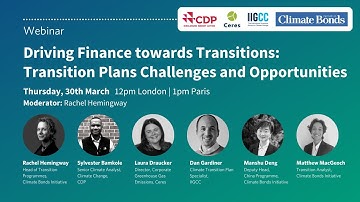 Driving finance towards Transitions - Transition Plans Challenges and Opportunities