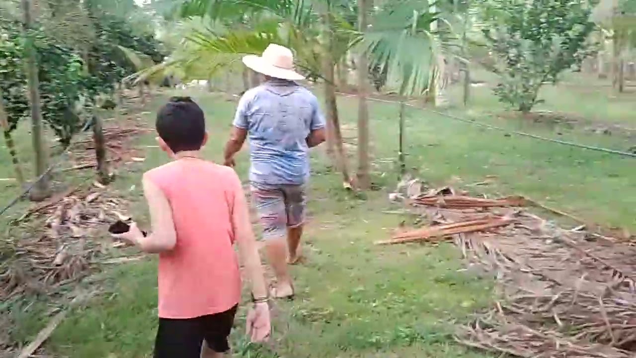 Minhas origens. Nosso Lar 