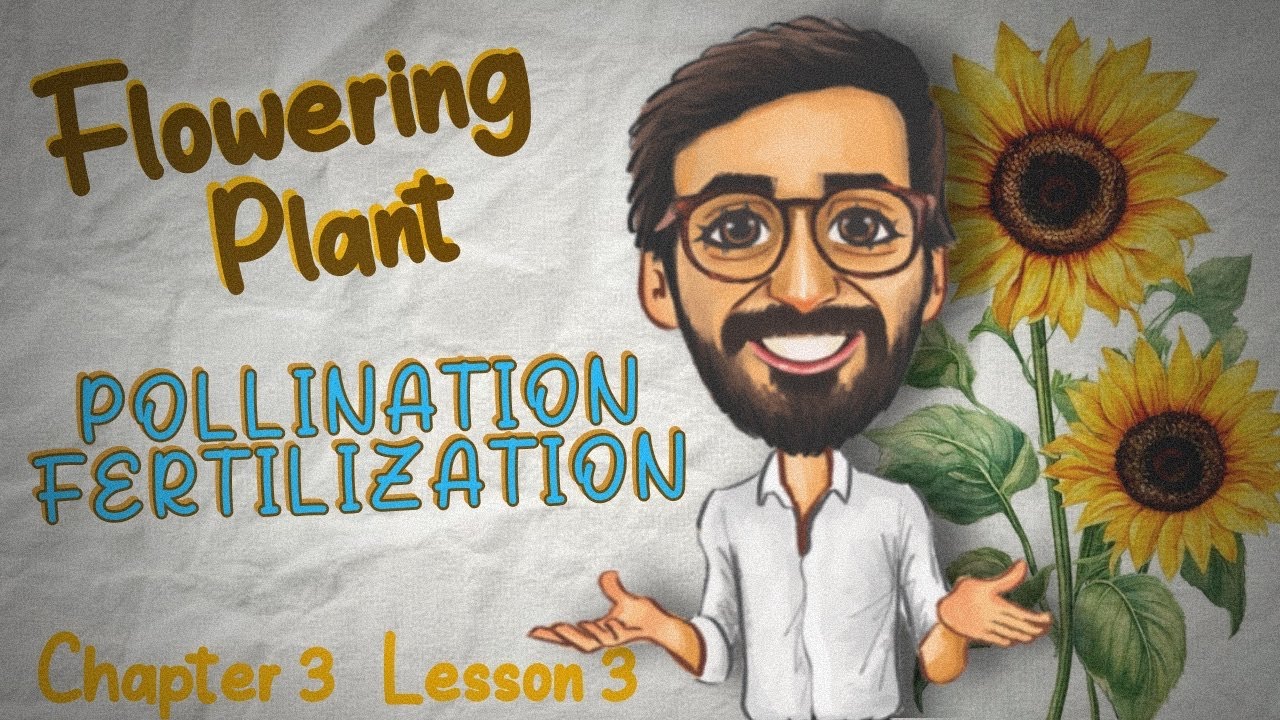 Biology |senior3| Reproduction in flowering plants | pollination and fertilization | دكتور مصطفي خضر