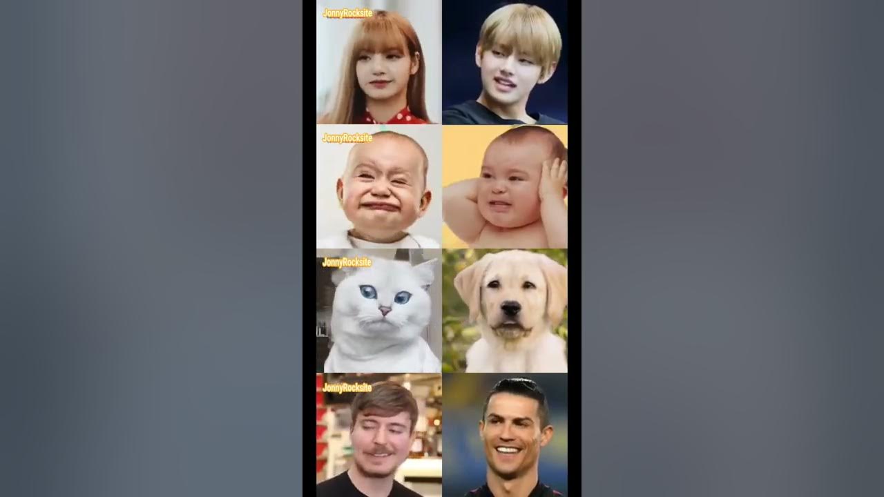 Famous People, Baby, Pet singing Pizzaz Akintoye #Shorts