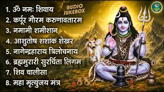भक्ति भजन - आशुतोष शशाँक शेखर, कर्पूर गौरम करुणावतारं, ॐ ...