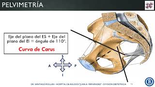 Móvil fetal, pelvis y mecanismo de trabajo de parto - ROLLAN - 2022