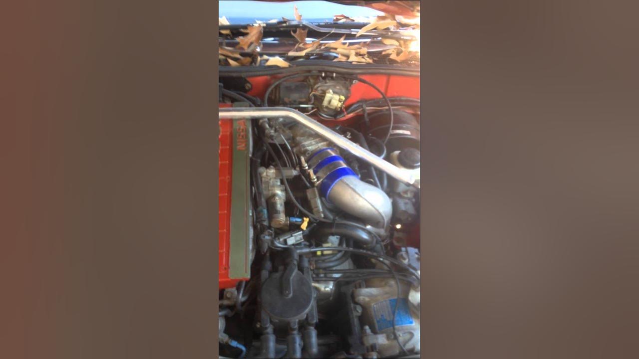 Z31 300zx Na2T 6 month cold start YouTube