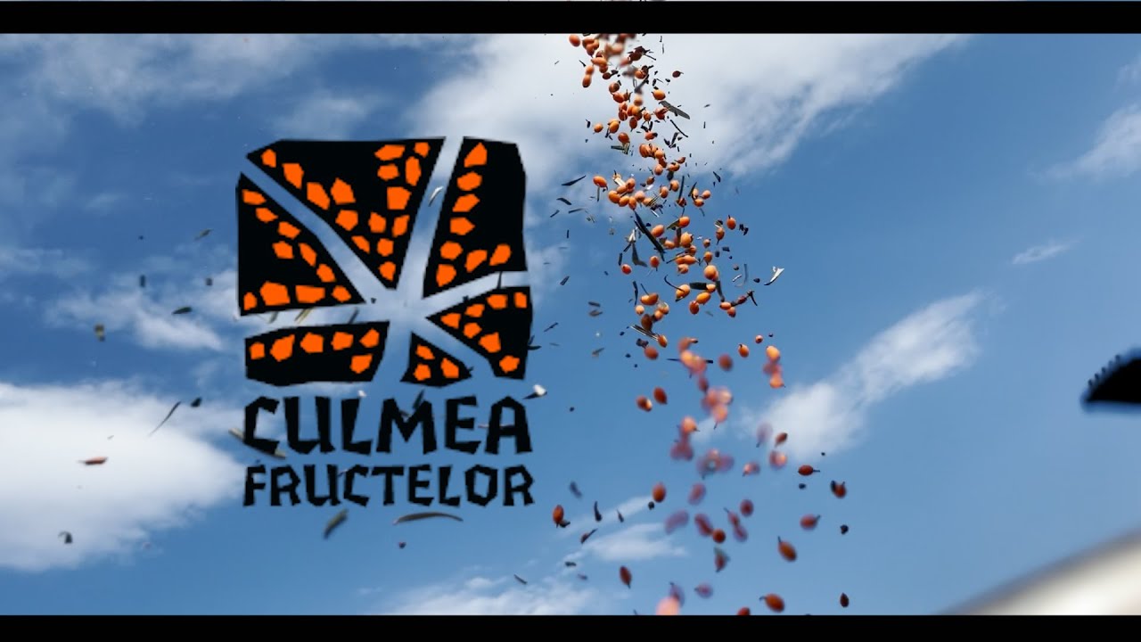 Culmea Fructelor  - povestea noastra