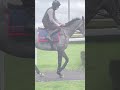 No Drama This End gets thumbs up in Cheltenham workout! 👀