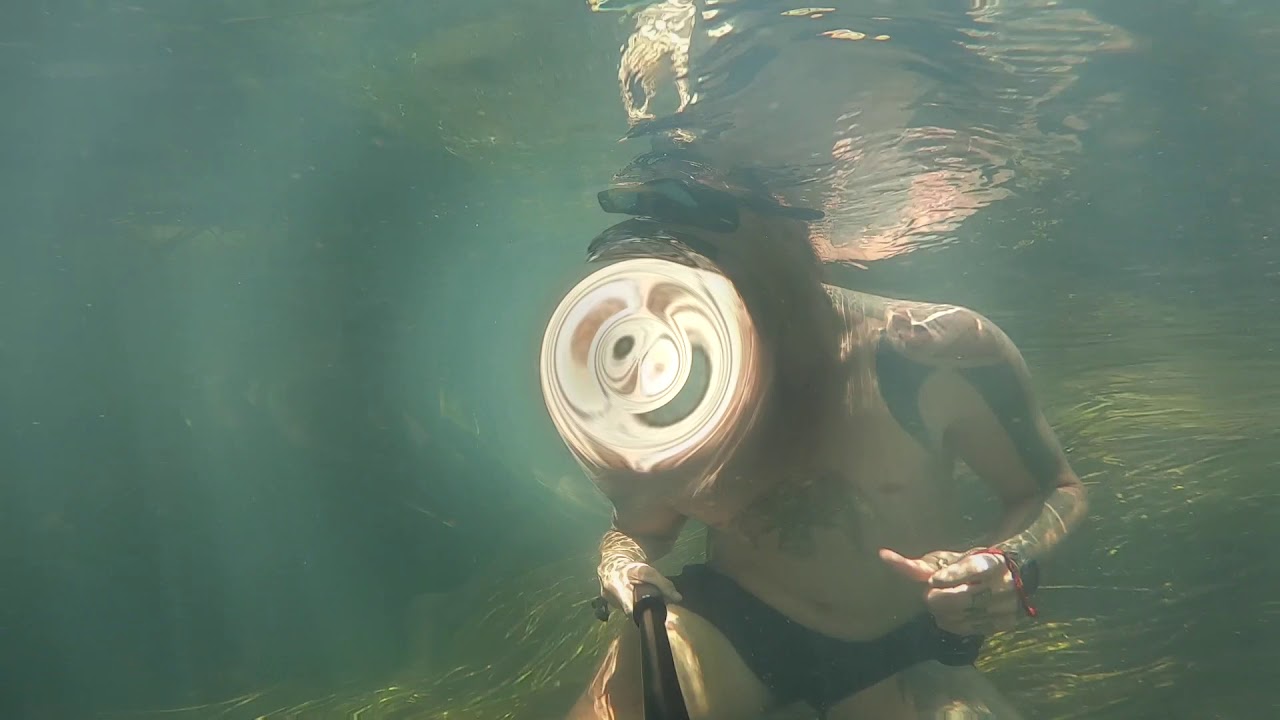 Freshwater Spearfishing in the Australian Outback