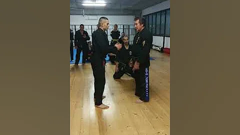 Fu shih kenpo karate