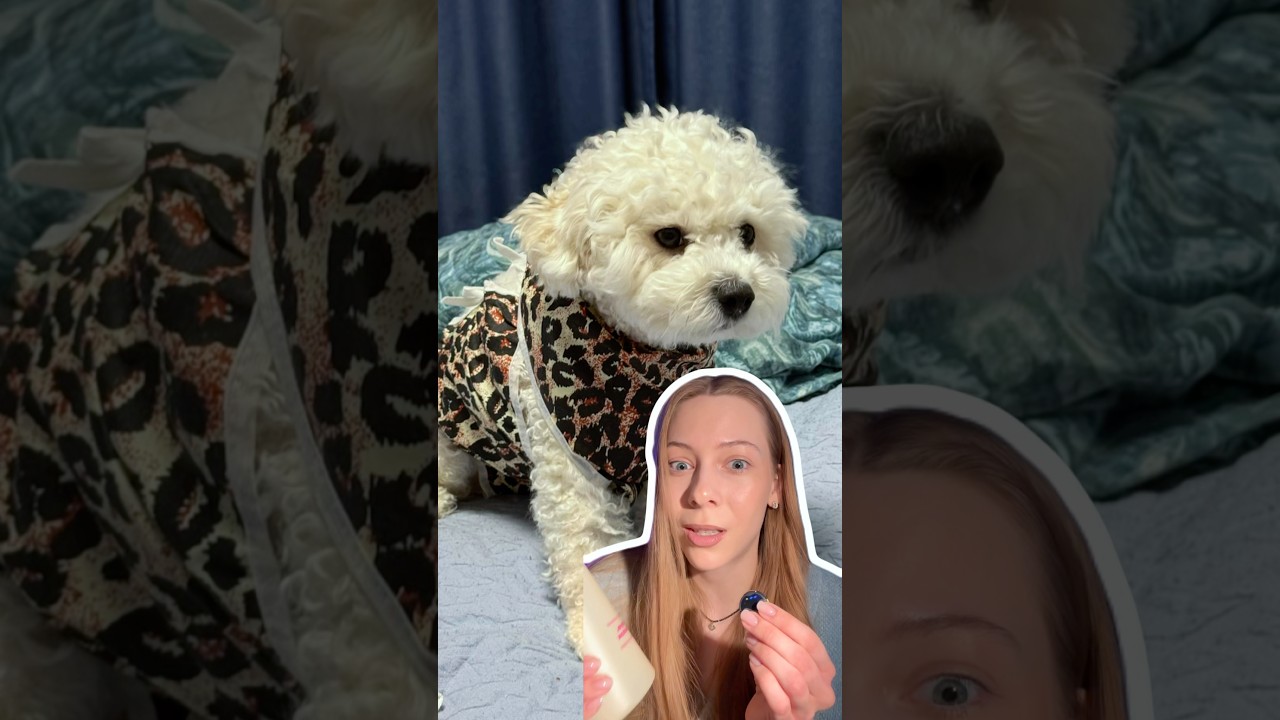 сет шампу + кондиционер 