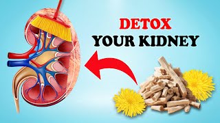 Top 8 Herbs That PREVENT And KILL Kidney Disease | Winning Health