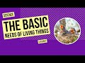 The Basic Needs Of Living Things Science Lesson The Basic Needs Of Living Things Science Lesson