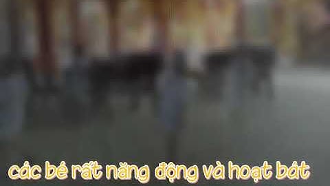 Những đứa trẻ mồ côi tại chùa Thiên Phước | Cai Lậy Tiền Giang