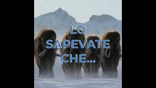 Lo Sapevate Che… | Mammut a Jurassic World | #jurassicworld #shorts #curiosità