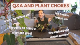 Let's do plant chores while answering your planty and personal questions