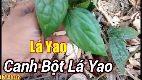 Lá Yao - Canh bột lá yao – Món ăn cộng đồng của người Êđê | 47 Vlog