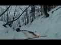 Барсучий овраг зимой. Badger ravine in the winter.
